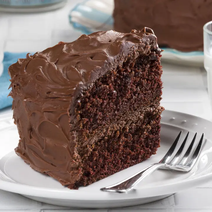 Double Chocolate Cake