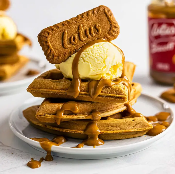 Lotus Bisscoff Waffle